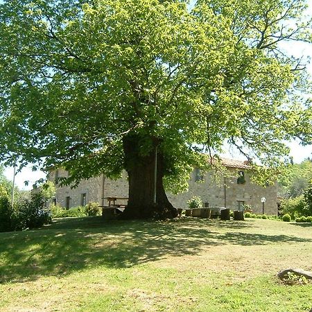 Antico Casale Pozzuolo Villa Seggiano Buitenkant foto