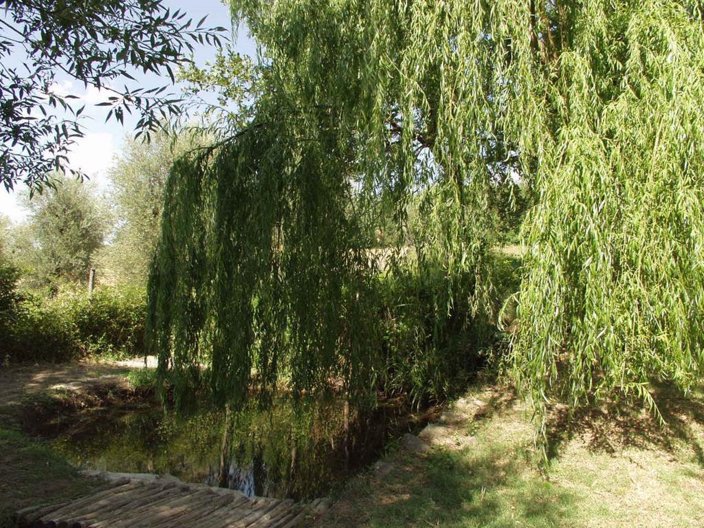 Antico Casale Pozzuolo Villa Seggiano Buitenkant foto